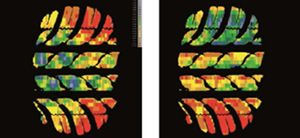 Footprint Measurement System